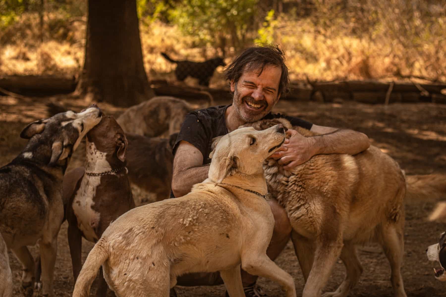 Founder interacting with sanctuary dogs